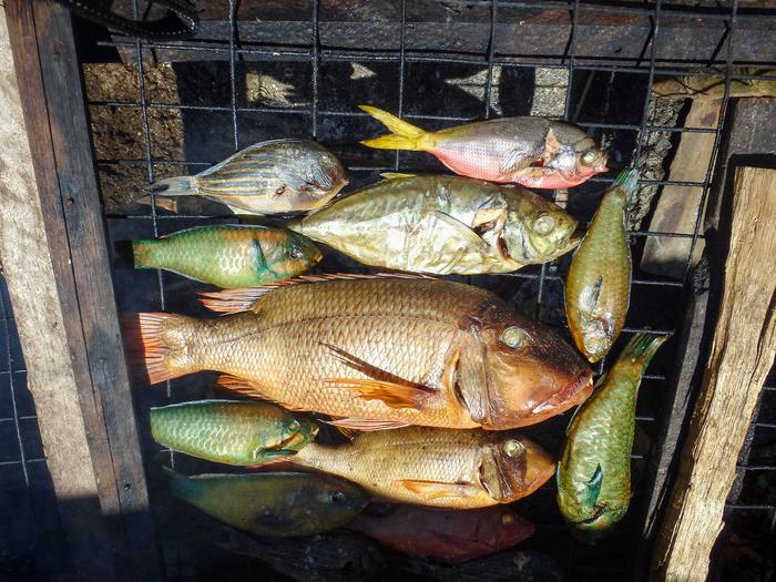 Разнообразная копченая рифовая рыба в Папуа - Новой Гвинее. Credit: Jessica Zamborain-Mason